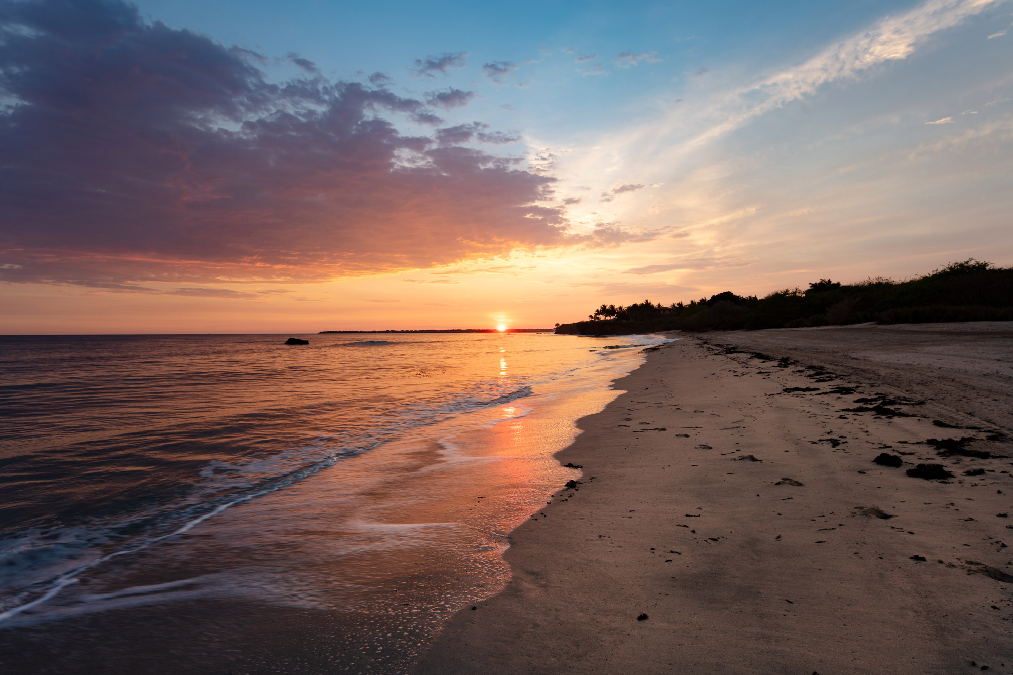 SDC_Beach-Ocean_2022_247A0746
